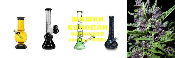 амф Магас