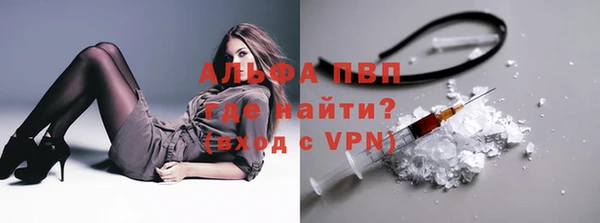 амф Магас